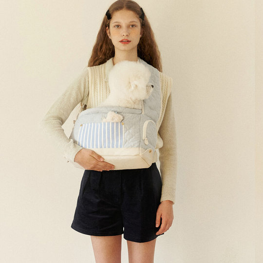 Korean Style Pet Carrier, Convenient Shoulder Bag for Dogs When Going Out, Anti-Escape Dog Bag, Cat Bag, Small Dog Backpack with Thick Padding