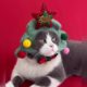 Dog and Cat Christmas Decoration Hat, Small and Medium-Sized Dog Headgear, Cartoon Cute Costume, Plush Christmas Tree Snowman Hat