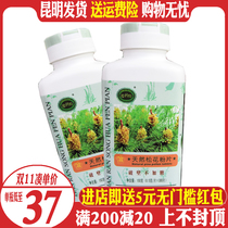 7 Bottled Official Deco plate Broken Pure Pine Pollen 300 slices Yunnan natural horsetail Pine Head Daud Powder