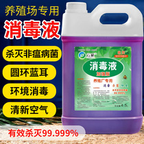 Farm special thimerosal veterinary with deodorant chicken Duck Cattle Goat Pig Ring Disinfection of Potassium Permanganate Disinfection Water