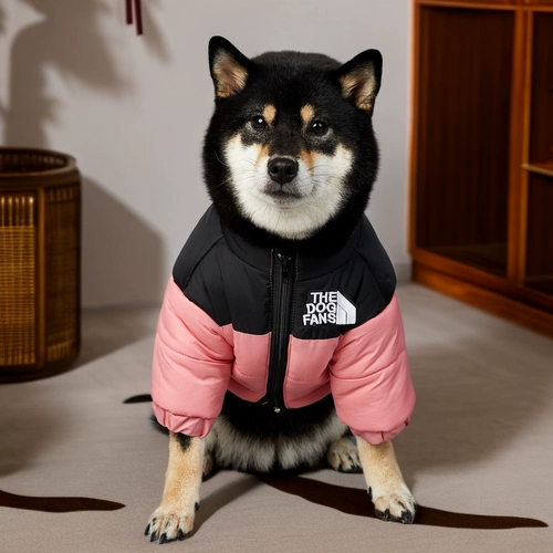 Tide, ветрозащитный пуховик, удерживающая тепло куртка, подходит для подростков