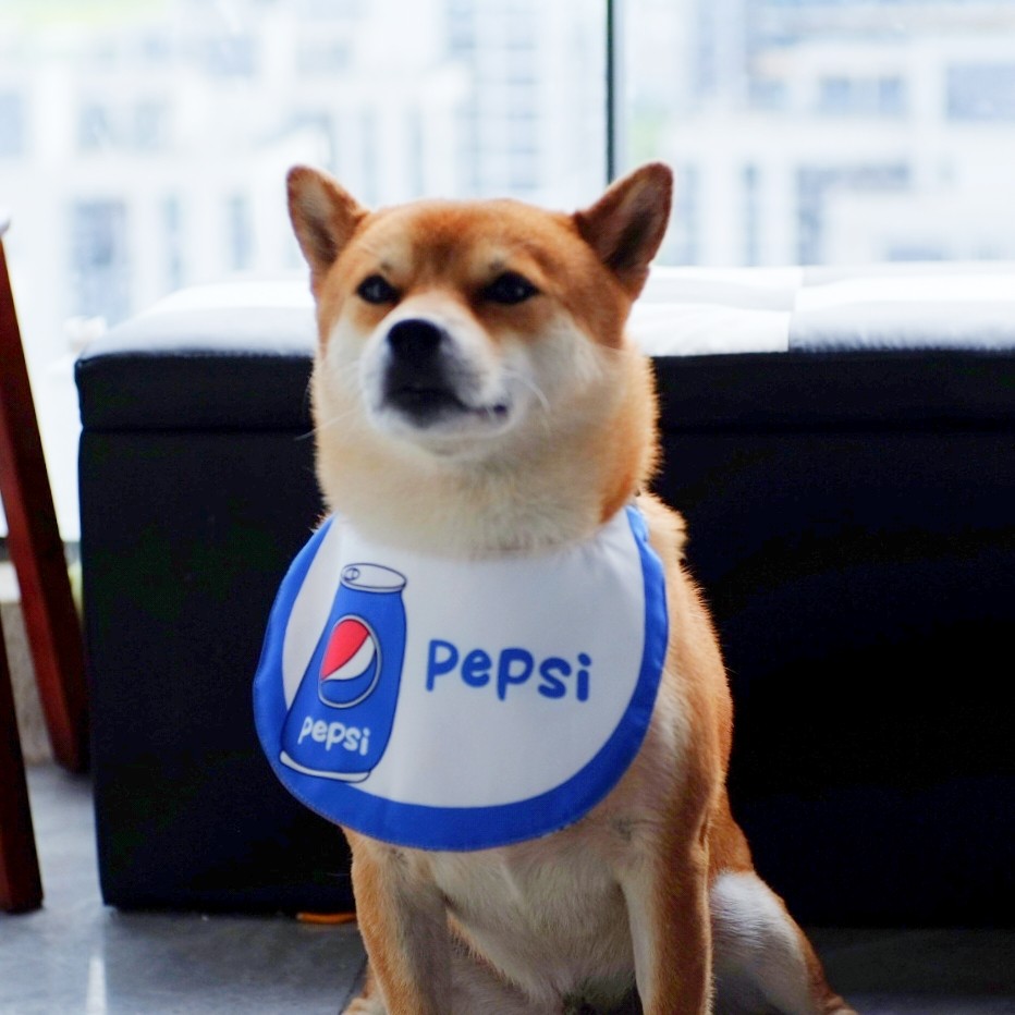 宠物口水巾柴犬围兜防湿毛防水不粘毛口水巾围巾中大型犬狗狗专用评价- 淘宝网