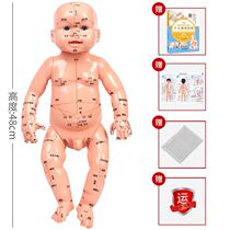 Meridian points Human body model Human figure doll Skull structure Skull props Tie needle Joint medicine Nature Children