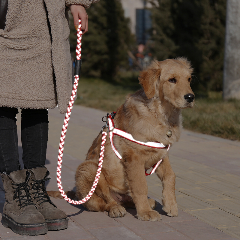 Dog Traction Rope Dog Necklace Teddy Bibi Bear Breast Cuddling Bag Small Dog Collar Walk Dog Nighttime Rope Pet Supplies