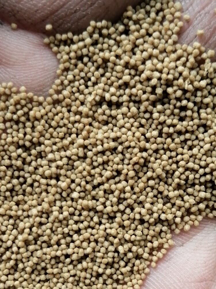 Tongwei feed Fry splash open floating particles goldfish Ornamental fish Koi fish fish pond reservoir bulk feed