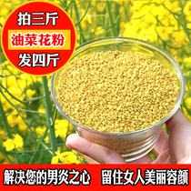 Pollen de Bee pure ferme naturelle auto-produit du pollen Qinghai pollinique non brisé pollen pur naturel 500 gr