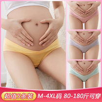  Pregnant womens underwear summer pure cotton thin section early pregnancy middle and late pregnancy low waist abdomen support special large size shorts to wear inside