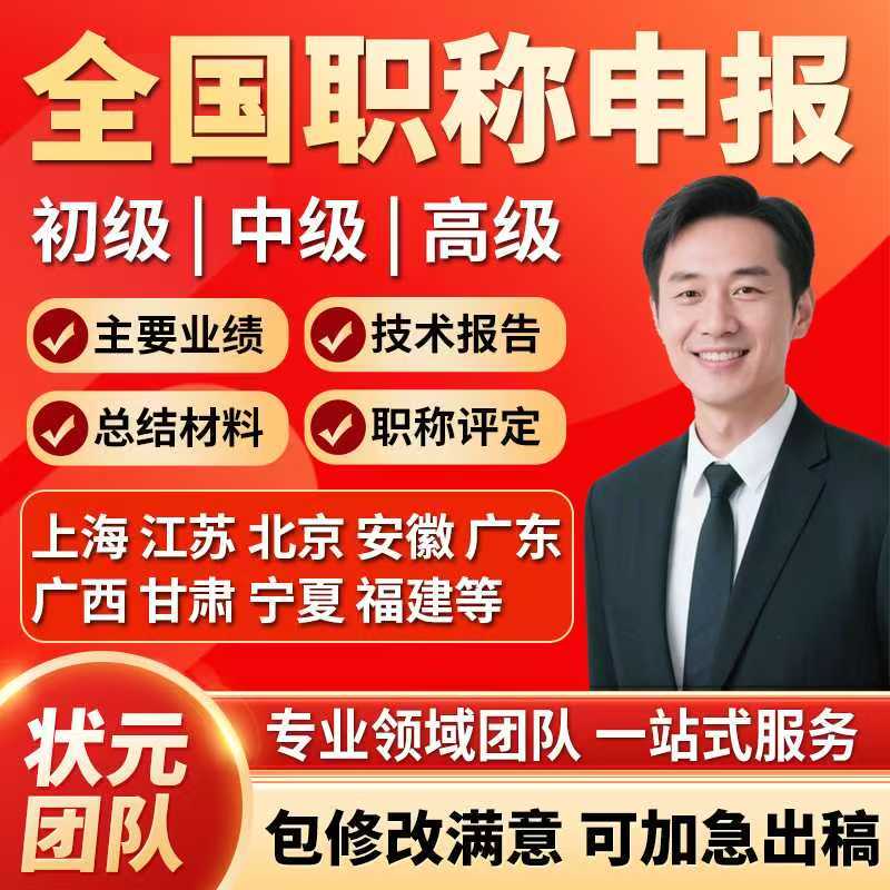 Professional Title Technical Work Summary, Assistant, Intermediate and Senior Level Main Achievements, Technical Summary, Technical Report