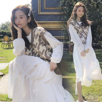  Pregnant women autumn dresses two-piece suits spring and autumn out knee-length skirts fashion models net red pregnant clothes