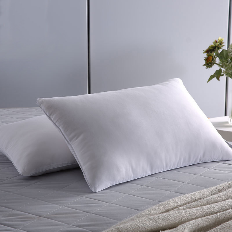 Silver Sea Silk Single Pillow Comfortable Pillow 100% Mulberry Silk Pillow Core Cotton