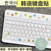 Korean keyboard sticker Korean cartoon cute keyboard film notebook desktop letter sticker single round