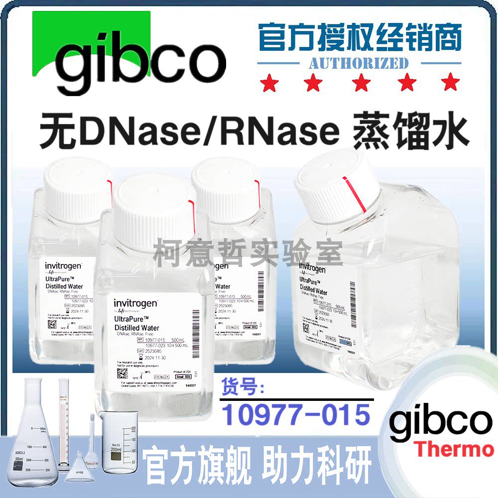 Gibco原装 无菌无酶水(10977-015)蒸馏水 无DNase/RNase 10977015