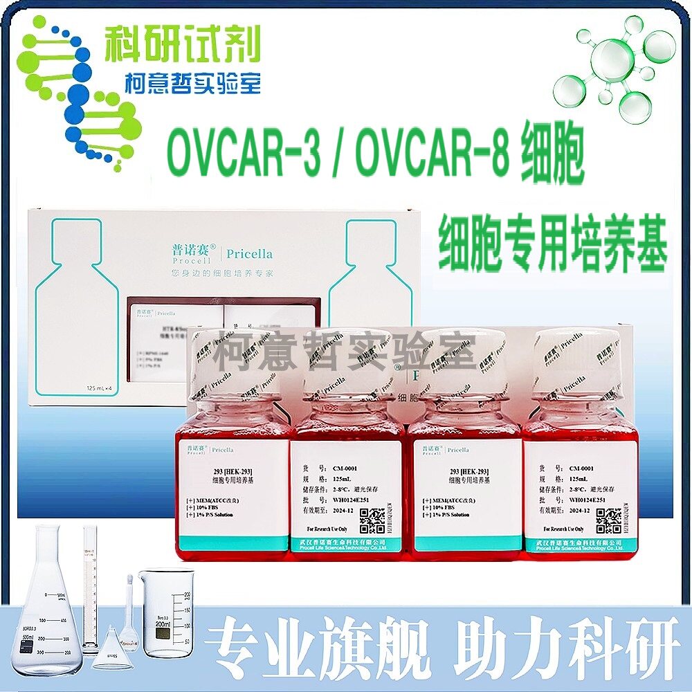 OVCAR3细胞专用培养基 STR鉴定OK 人卵巢腺癌细胞培养基 OVCAR8