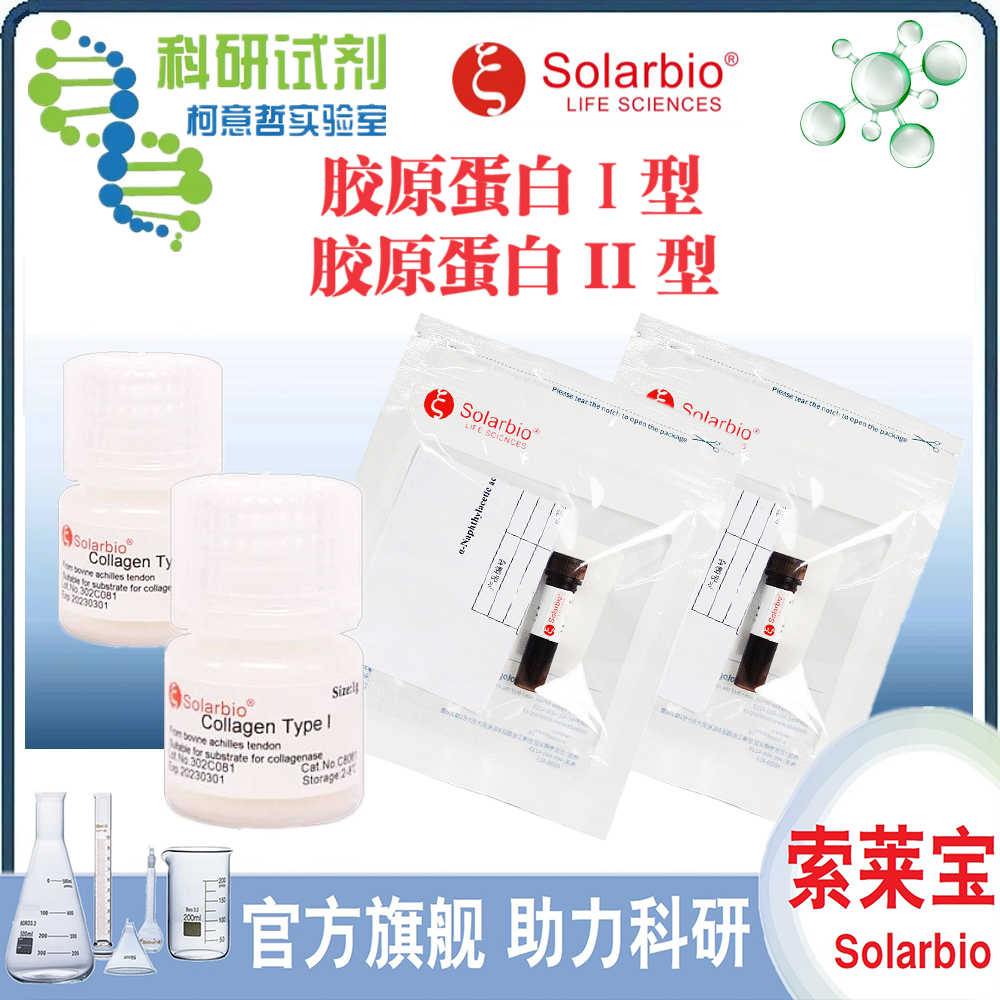 胶原蛋白Ⅰ型 胶原蛋白1型 胶原蛋白2型 鼠尾胶原蛋白Ⅰ型/索莱宝