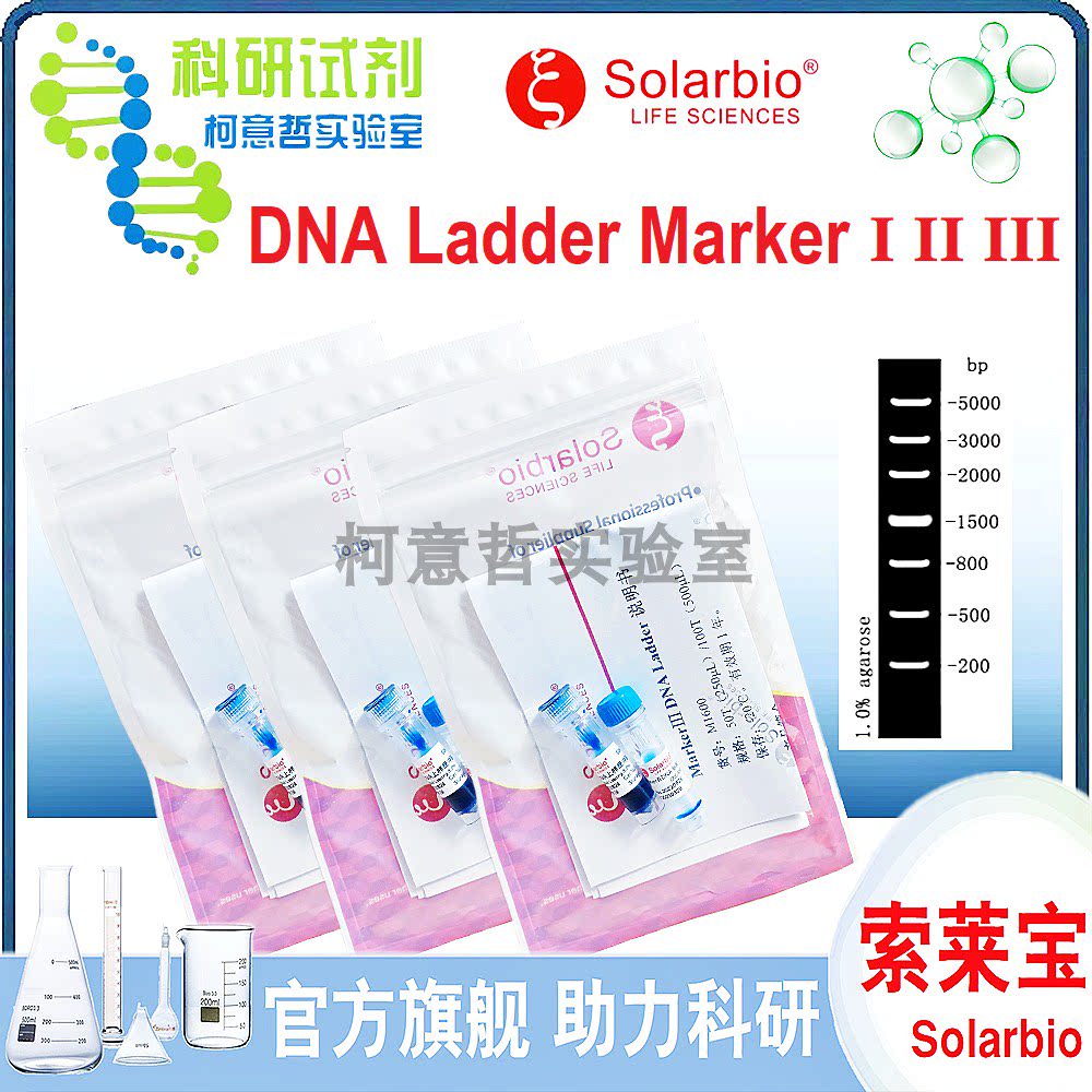 Marker DNA Ladder I II III 电泳制备上样DNA条带分析 [索莱宝]