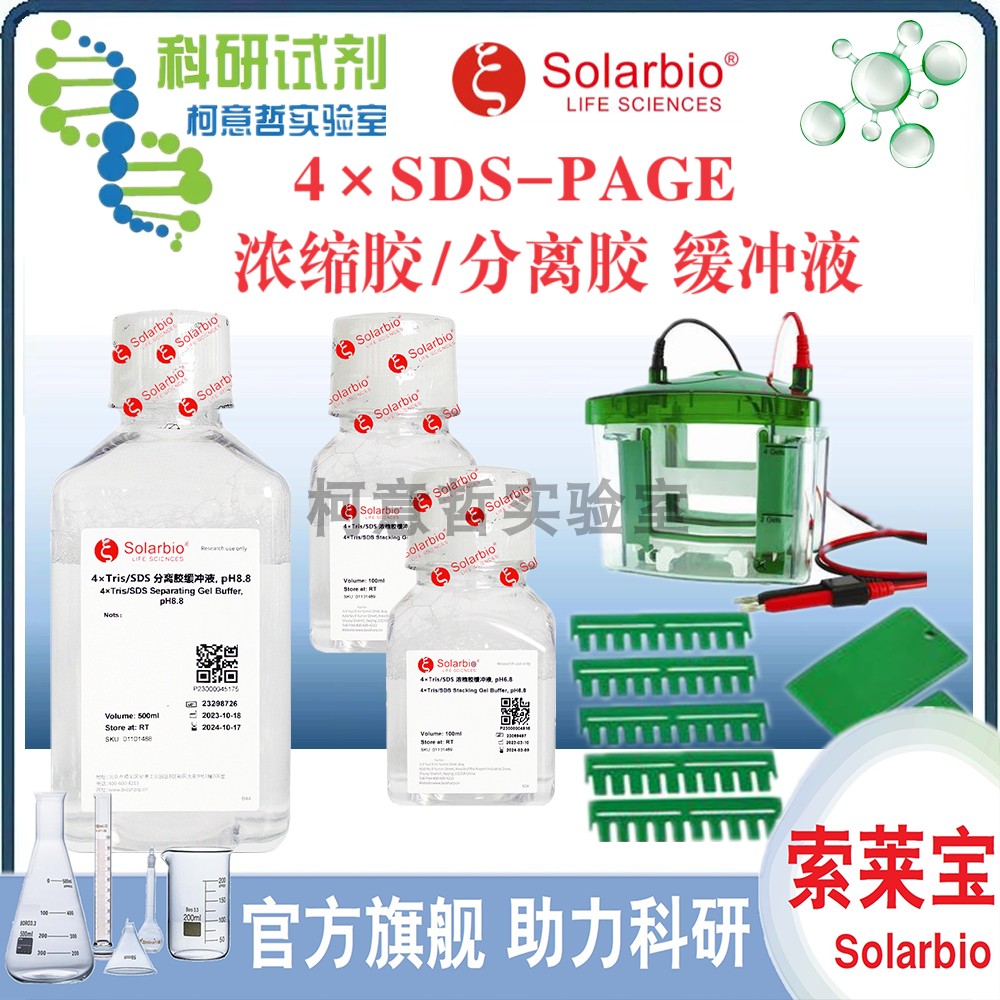 4&times; SDS-PAGE浓缩胶缓冲液 SDS-PAGE分离胶缓冲溶液500mL[索莱宝]