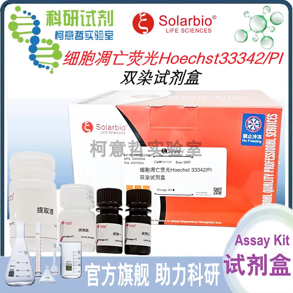 Hoechst 33342/PI双染试剂盒 Hoechst细胞凋亡荧光 CA1120 索莱宝