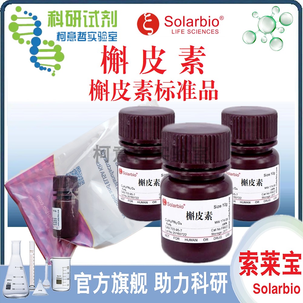 槲皮素标准品10g实验室用索莱宝品牌化学试剂