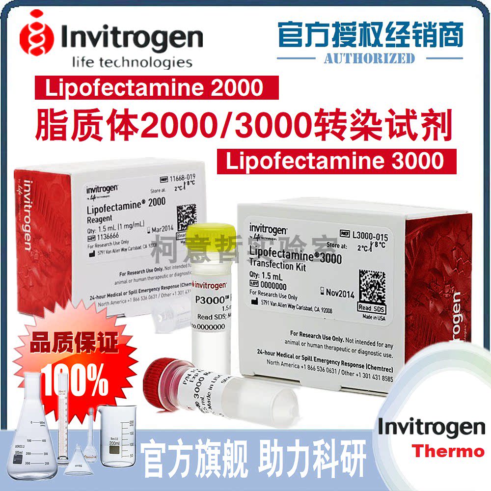 [Invitrogen原装进口] 脂质体2000/3000转染试剂 Lip2000 Lip3000