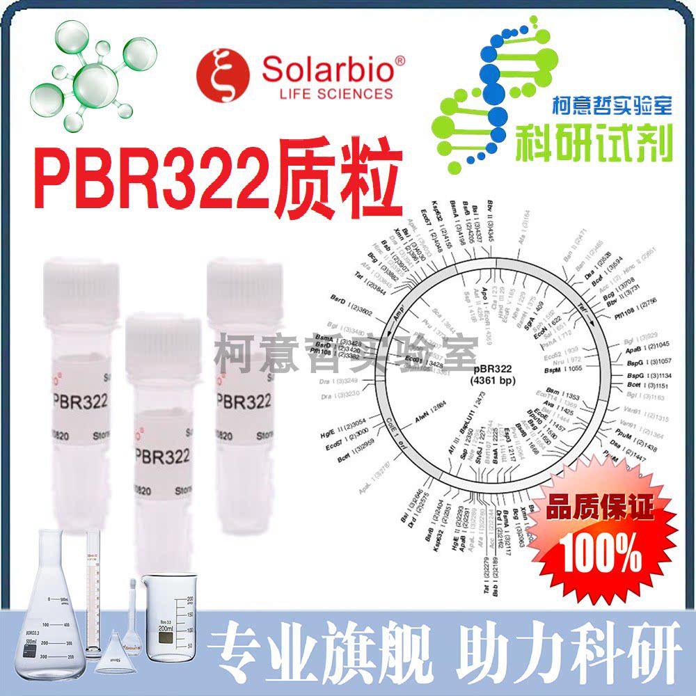 PBR322质粒 pBR322质粒DNA (20ug) 4361bp质粒载体 [索莱宝]