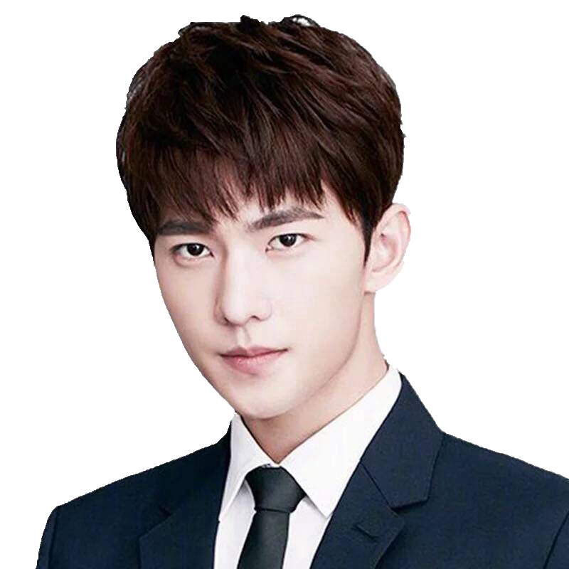 Men's Short Hair Wig, Real Hair Wig, Full Head Wig for Men, Natural and Handsome Bald Head Wig, Full Head Wig for Men Men's Short Hair Wig, Real Hair Wig, Full Head Wig for Men, Natural and Handsome Bald Head Wig, Full Head Wig for Men