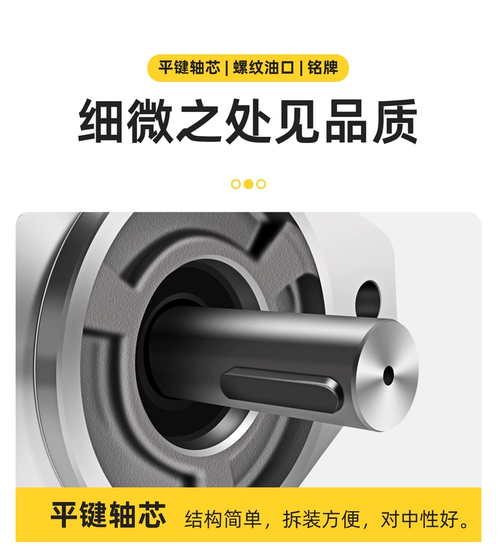 Bơm thủy lực bánh răng áp suất cao bơm dầu xe nâng CBF-E10/16/18/25/1.5/32/40/50/63P ALPX bơm piston tác dụng kép bơm thủy lực bãi