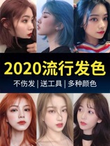 2021 New Hair Dye Pop color Hair Cream Cover White Hair Dirty Orange Blue Black Foam Pure plant to dye at home