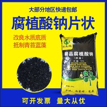 Sodium Humate Sodium Aquaculture Flaky Humus Sodium Salt Suppression Green Moss Blue Algae Water Purifying Fertilizer Water High Shading All Water Soluble