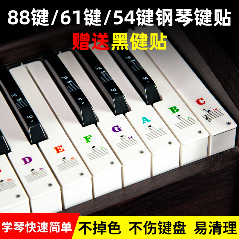 Piano keyboard stickers 61 keys 88 keyboard hand roll piano key stickers spectrum Jane staff keys key phonetic stickers