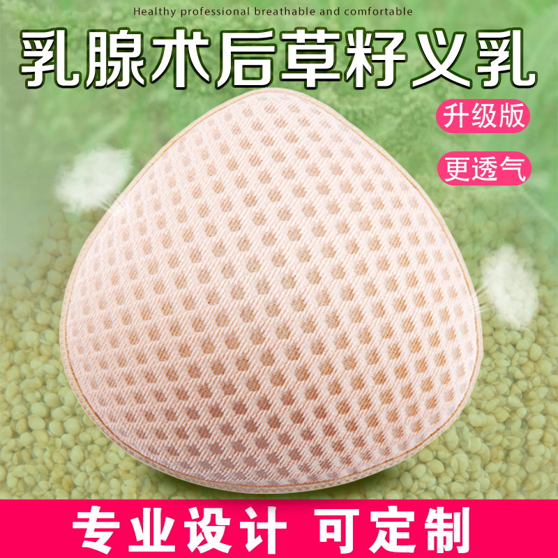 Postoperative Breast Breast Cancer Special Grass Seed Righteous Milk Light Breathable Non-Silicone Bra Fake Breast Women Deserve Bra Emulation