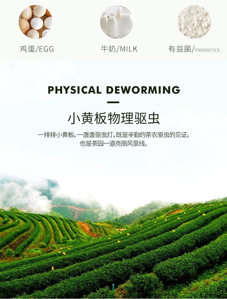 四国有机认证 芯仙茗堂 明前 一级 高山乌龙茶 100g 图5
