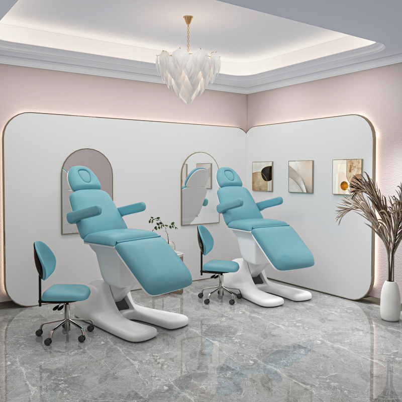 High-End Electric Lifting Beauty Bed, Tattoo Bed, Plastic Surgery Beauty Injection Bed, Embroidery Bed, Ear-Picking Dental Bed, Beauty Chair