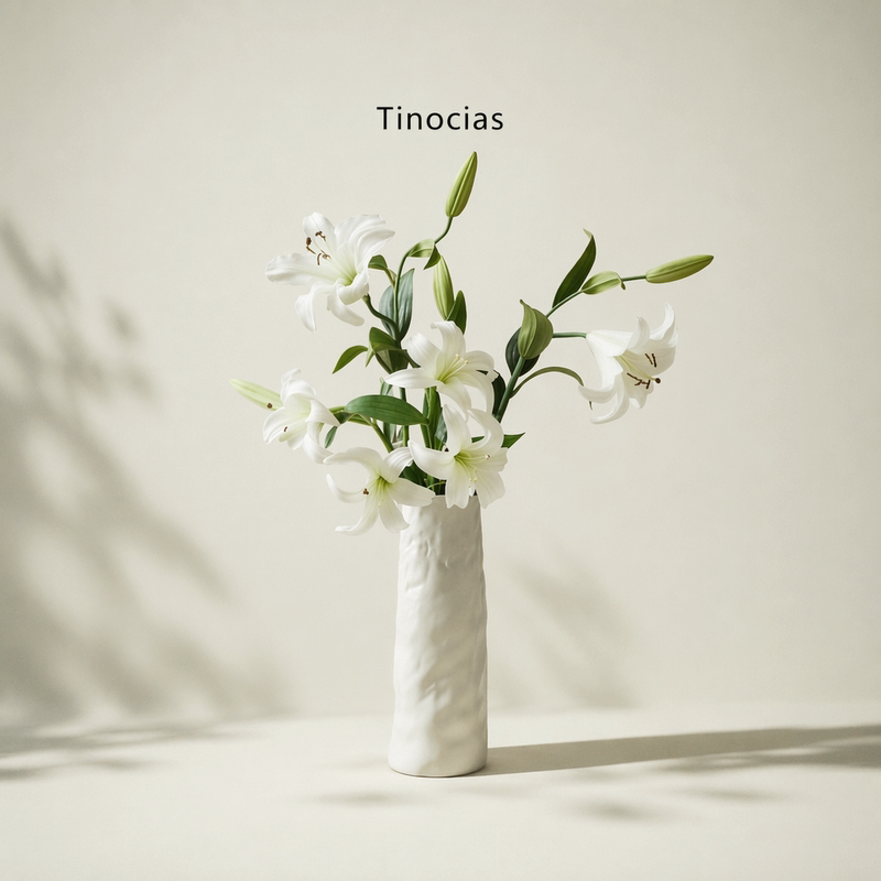 Tinocias Ceramic Vase Wabi-Sabi Style Living Room Flower Arrangement High-End Decoration Chinese-Style White Flower Arrangement 6