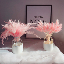 ins wind decorative ceramic wrought iron vase starry dried flower bouquet Home decoration small fresh Nordic style net red