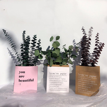 ins Photo props Nordic style decoration Eucalyptus leaf dried flower bouquet Home decoration small fresh flower arrangement ornaments