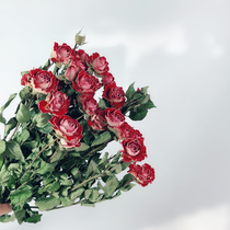Stunning bubble red rose natural real flower rose dry flower bouquet Multi-head rose small rose material shooting props