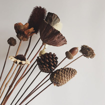 Pine cones acorns pine towers with poles zen decoration Nordic air-dried flowers simple Japanese shooting props