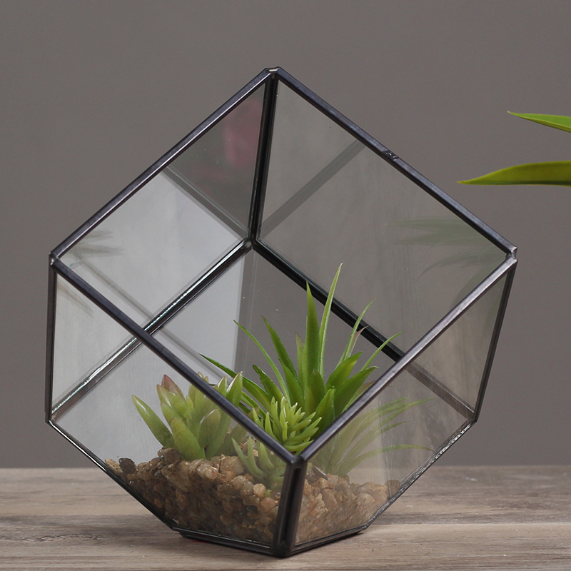 Minima Modern Nordic Home Glass Hood Flower House Microscape Pendulum Pieces Creative Prototypes Room Bookcase Wine Cabinet Decorations