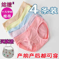 Pregnant womens underwear early pregnancy womens cotton low waist cotton Middle and Late Large size maternal general special antibacterial