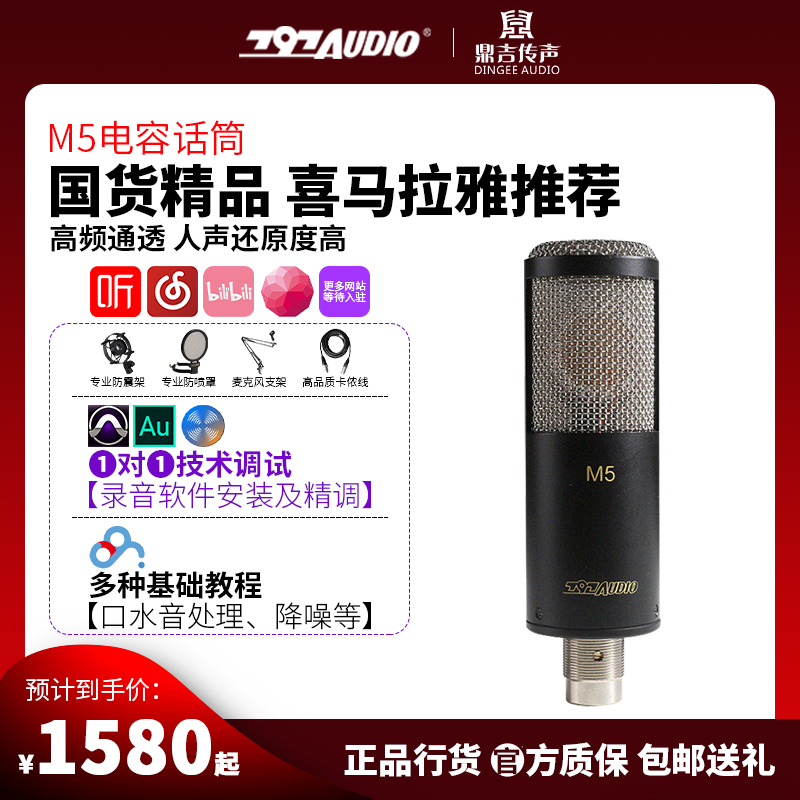 797 M5 Professional Large Diaphragm Condenser Microphone Recording Audiobook Dubbing Special Equipment Sound Card Microphone Set