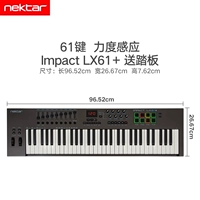 LX61+педаль+подлинное программное обеспечение (соло+более поздняя рекомендация)