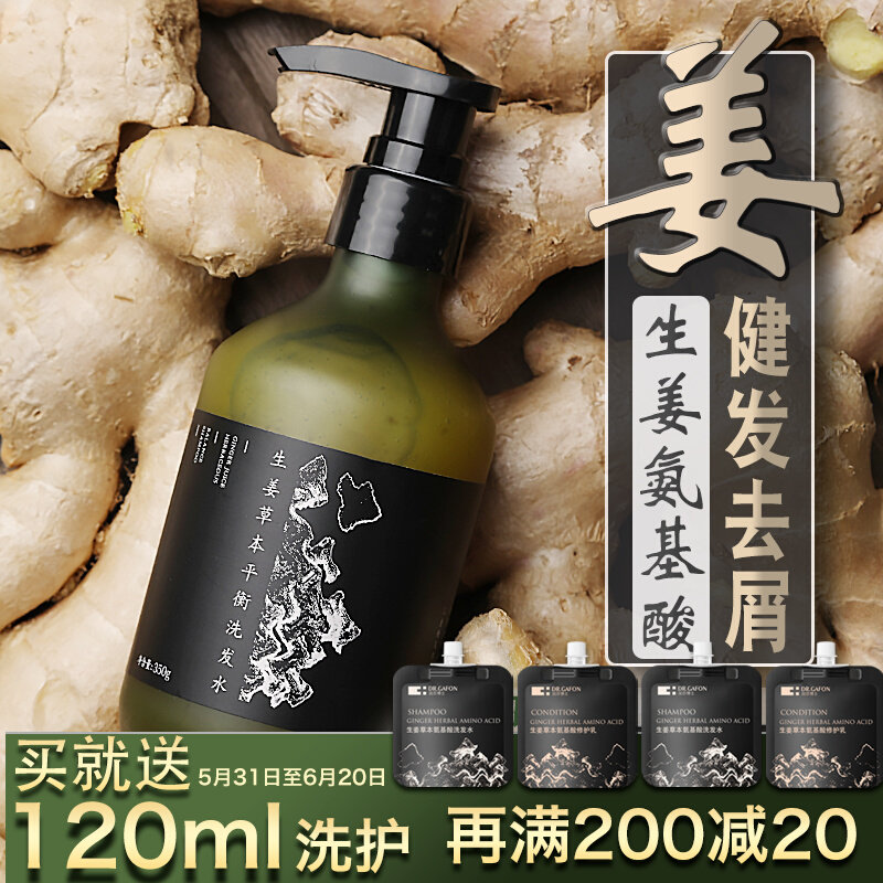 Gaffin Dr. Ginger Plant Shampoo water-proof and control oil Cuttings Fluffy amino acids to repair the soft and smooth suit
