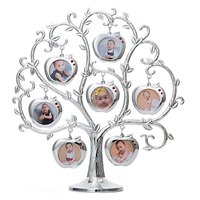 Apple, серебряная фотография