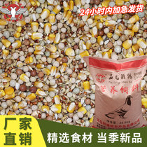 Dove Grain 45 Catty Pigeon Food Nutrient Dove Feed Racing Pigeon Pigeon Pigeon Dragon War Dove With Corn Bird Food