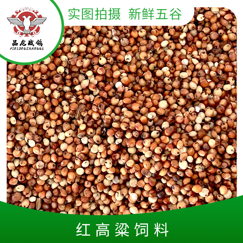 Red sorghum 50 catties of high-quality whole grains nutrition bird food pigeon meat pigeon pigeon food direct sales in Jiangsu, Zhejiang, Shanghai and Anhui