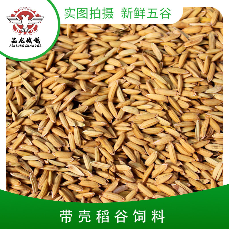 45 catties of rice with shell rice chicken duck pigeon racing pigeon feed bird food pigeon grain grain Jiangsu, Zhejiang, Shanghai and Anhui