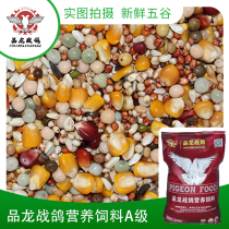 Pint Dragon War Dove Dove Food 50 Catty With Corn Nutrition Pigeon Food Letter Dove Bird Food Pigeon Feed