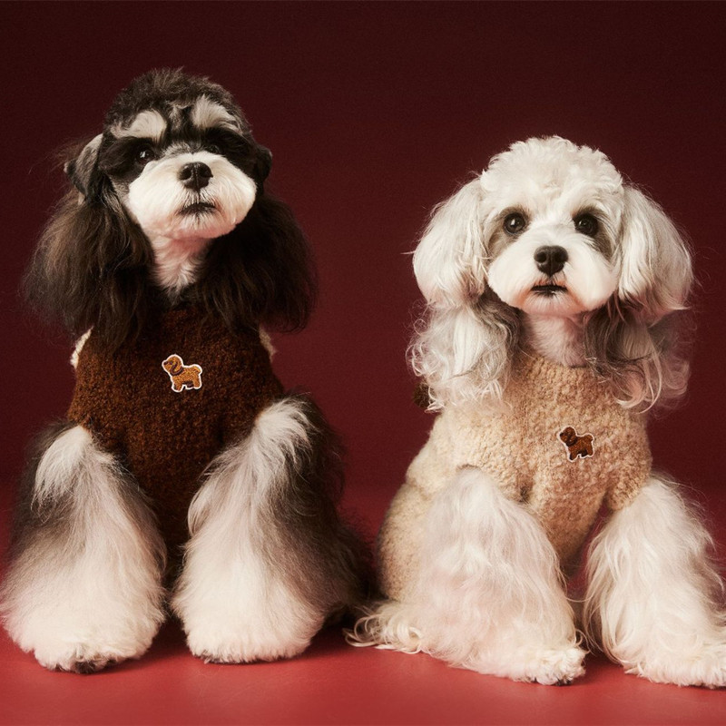 Puppy Clothes Autumn and Winter Sweater Vest Schnauzer Teddy Bichon Pomeranian Yorkshire Cat Sleeveless Vest Puppy Clothes Autumn and Winter Sweater Vest Schnauzer Teddy Bichon Pomeranian Yorkshire Cat Sleeveless Vest