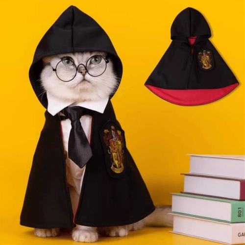 Плащ, популярно в интернете, xэллоуин, косплей