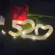 «520» теплый белый свет.
